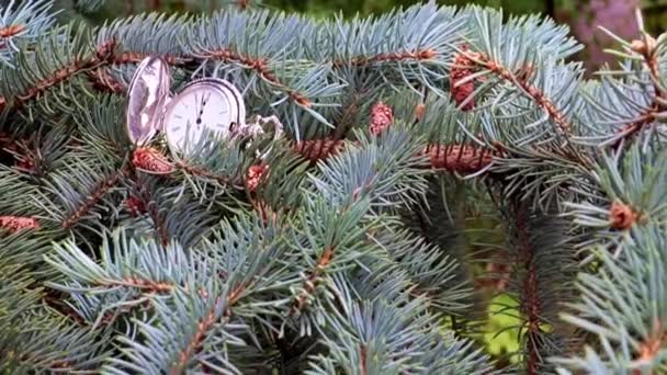 Antieke Zakhorloge Liggend Een Tak Van Een Feestelijke Kerstboom — Stockvideo