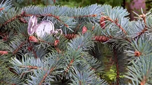 Reloj Bolsillo Antiguo Acostado Una Rama Árbol Navidad Festivo — Vídeos de Stock