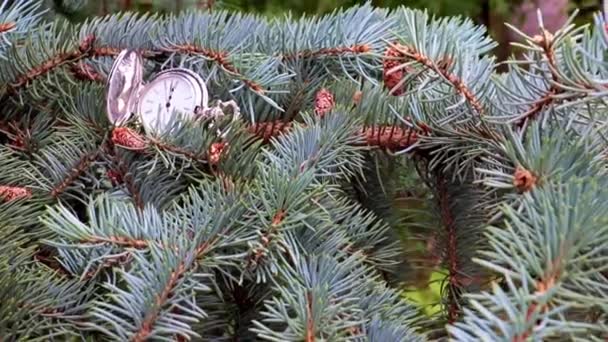 Antique Montre Poche Couchée Sur Une Branche Arbre Noël Festif — Video