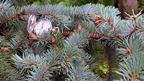 Reloj Bolsillo Antiguo Acostado Una Rama Árbol Navidad Festivo — Vídeos de Stock