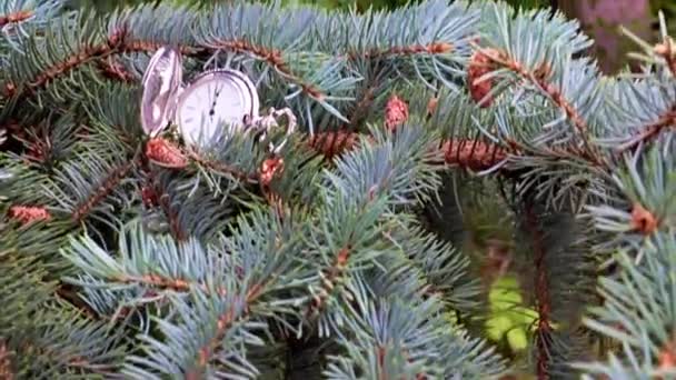 Orologio Tasca Antico Che Giace Ramo Albero Natale Festivo — Video Stock