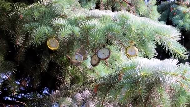 Prachtige Vintage Zakhorloge Opknoping Een Tak Van Een Kerstvakantie Dennenboom — Stockvideo