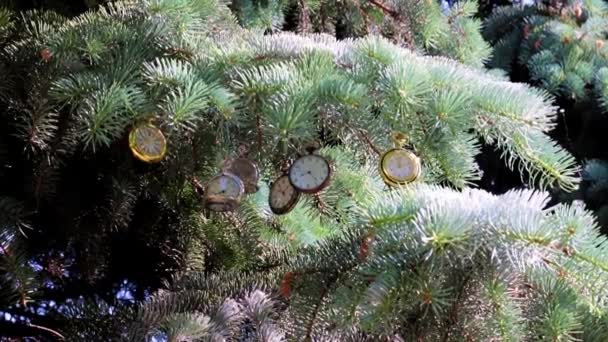 Prachtige Vintage Zakhorloge Opknoping Een Tak Van Een Kerstvakantie Dennenboom — Stockvideo