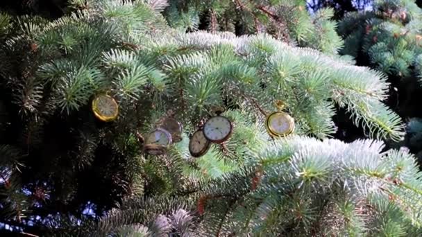クリスマスの休日の松の木の枝にぶら下がって絶妙なヴィンテージのポケットウォッチ — ストック動画