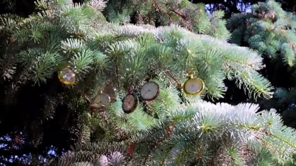 Bir Noel Ağacının Dalında Asılı Nefis Bir Klasik Cep Saati — Stok video