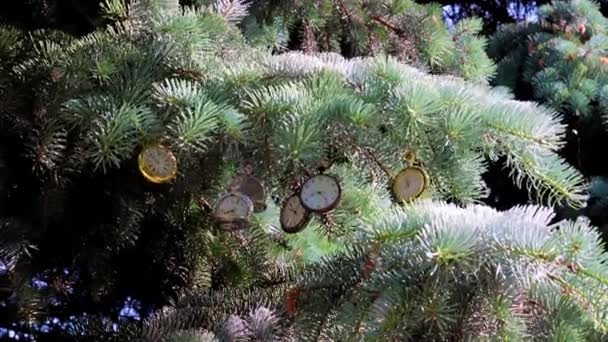 Exquisito Reloj Bolsillo Vintage Colgado Una Rama Pino Navideño — Vídeo de stock