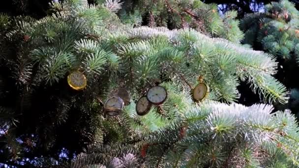 クリスマスの休日の松の木の枝にぶら下がって絶妙なヴィンテージのポケットウォッチ — ストック動画