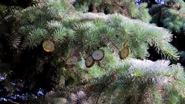 Prachtige Vintage Zakhorloge Opknoping Een Tak Van Een Kerstvakantie Dennenboom — Stockvideo