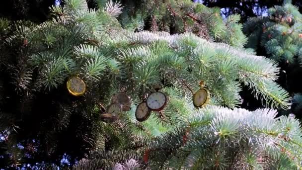 Wykwintny Zabytkowy Zegarek Kieszonkowy Wiszący Gałęzi Choinki Świątecznej — Wideo stockowe