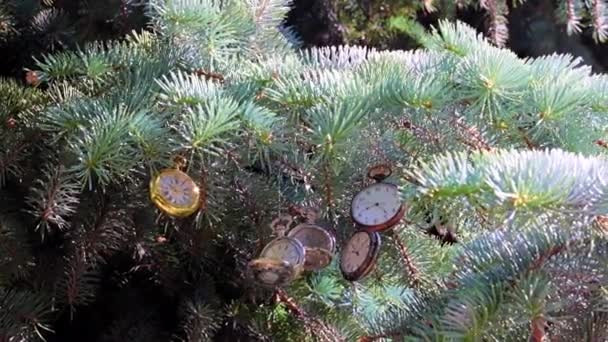 Prachtige Vintage Zakhorloge Opknoping Een Tak Van Een Kerstvakantie Dennenboom — Stockvideo