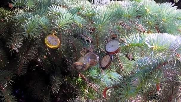 Montre Poche Vintage Exquise Suspendue Sur Une Branche Sapin Noël — Video