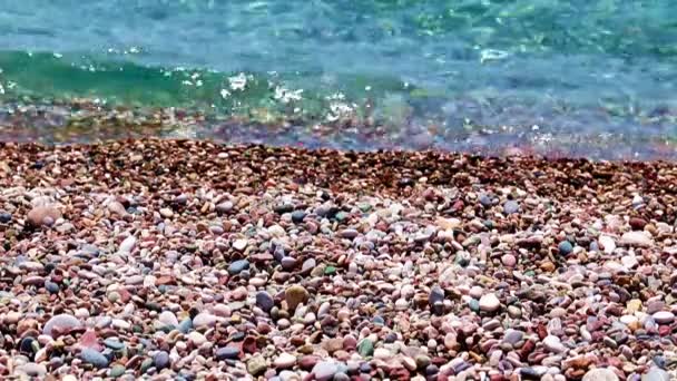 Plaża Morska Czyste Fale Wodne Wybrzeżu — Wideo stockowe