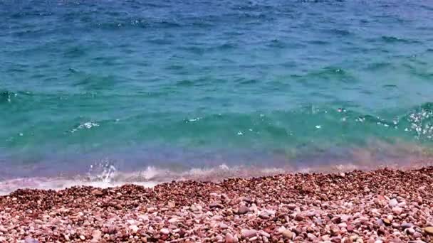 Deniz Kıyısı Temiz Dalgaları — Stok video