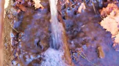 Kirli su yeryüzünün çimenli yüzeyinde akar.