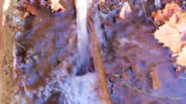 Kirli su yeryüzünün çimenli yüzeyinde akar.