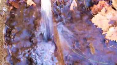 Kirli su yeryüzünün çimenli yüzeyinde akar.