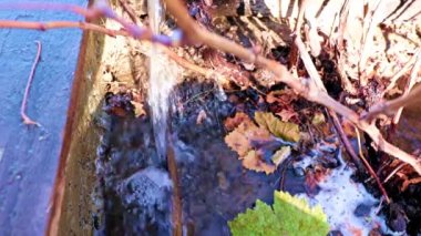 Kirli su yeryüzünün çimenli yüzeyinde akar.