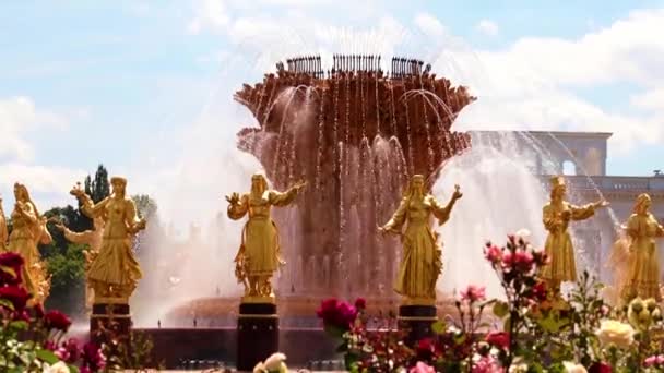 清澈的水柱在金色的喷泉里人民的友谊在莫斯科市公园里俄罗斯 — 图库视频影像