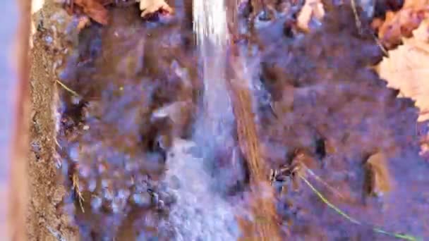 Agua Sucia Fluye Sobre Superficie Cubierta Hierba Tierra — Vídeos de Stock