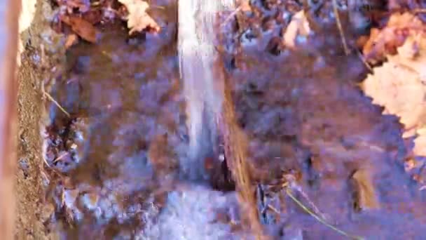 Agua Sucia Fluye Sobre Superficie Cubierta Hierba Tierra — Vídeo de stock