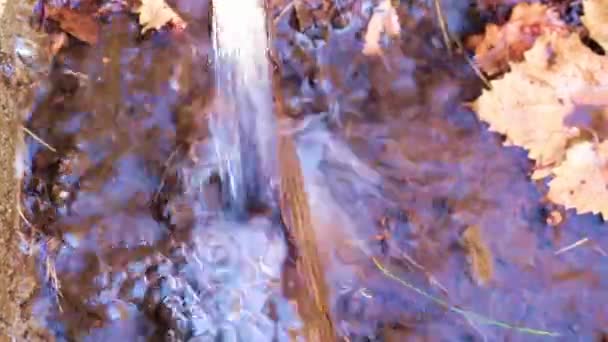 Dirty Water Flows Grassy Surface Earth — Stock Video