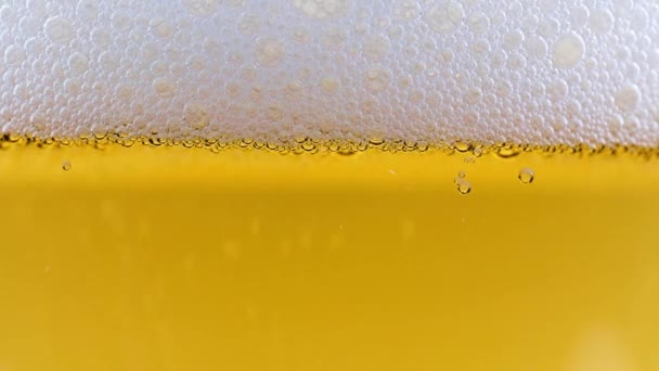 Air Bubbles Foam Surface Light Beer — Stock Video