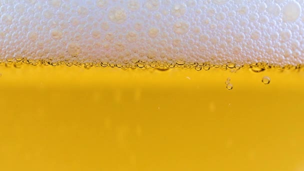 Bulles Air Dans Mousse Surface Bière Légère — Video