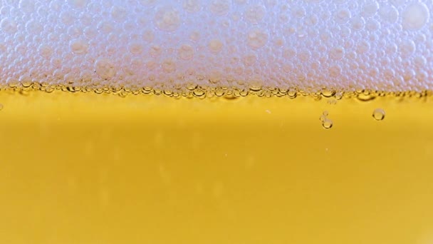 Φυσαλίδες Αέρα Στον Αφρό Στην Επιφάνεια Της Ελαφριάς Μπύρας — Αρχείο Βίντεο