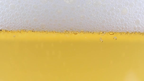 Luchtbellen Het Schuim Het Oppervlak Van Licht Bier — Stockvideo