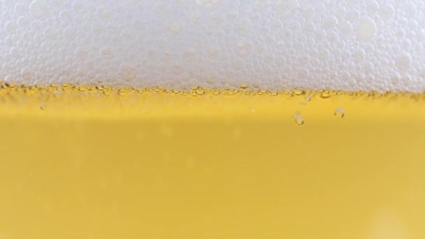 Air Bubbles Foam Surface Light Beer — Stock Video