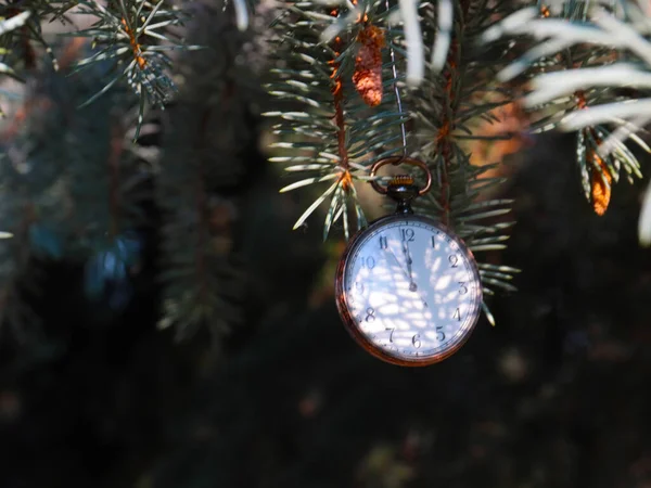 Vintage Pocket Watch Festive Pine Branches — Stock Photo, Image