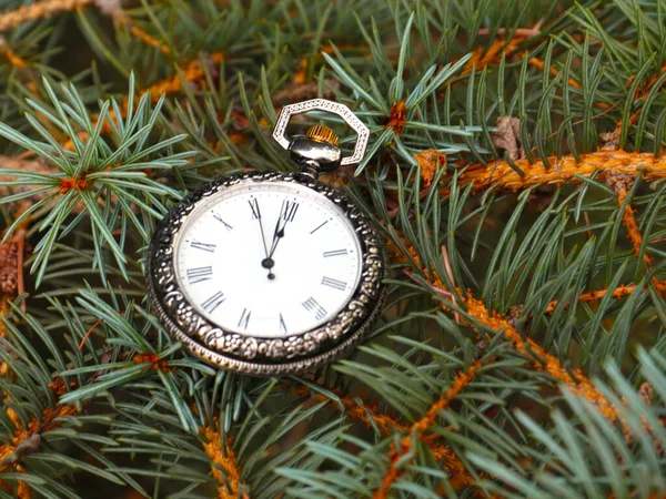 Zabytkowy Zegarek Kieszonkowy Świątecznych Gałęziach Sosny — Zdjęcie stockowe