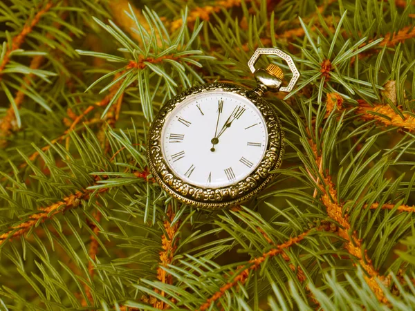 Vintage Pocket Watch Festive Pine Branches — Stock Photo, Image