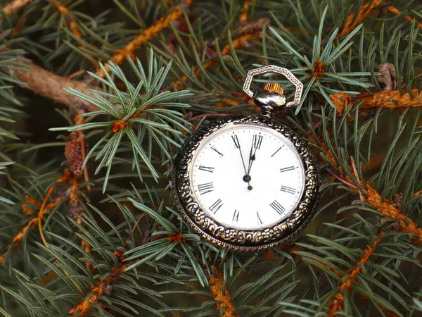 Vintage Zakhorloge Feestelijke Dennentakken — Stockfoto