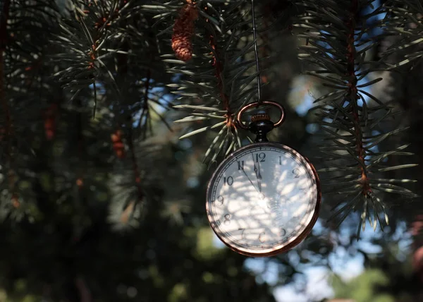 Vintage Taschenuhr Auf Festlichen Kiefernzweigen — Stockfoto