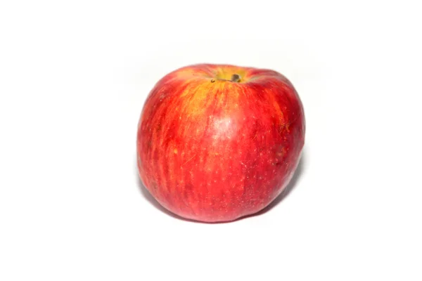 Aardappel — Stockfoto