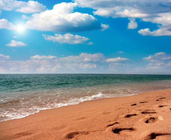 Sea beach — Stock Photo, Image