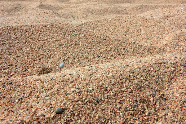 Куча песка — стоковое фото
