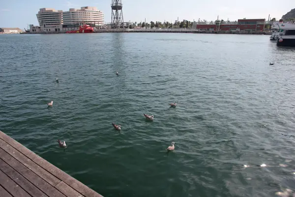 Sea port Barcelona Spain — Stock Photo, Image