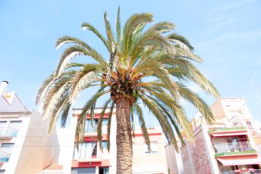 Tatil beldesi Calella
