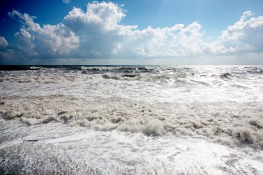 Deniz kenarında Gale