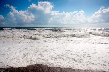 Deniz kenarında Gale