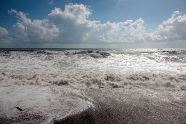 Deniz kenarında Gale