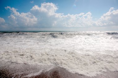 Deniz kenarında Gale