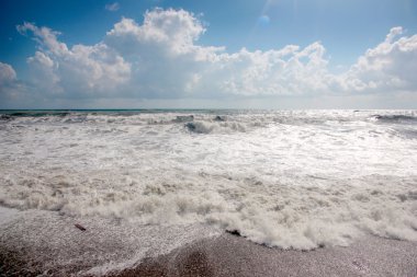 Deniz kenarında Gale