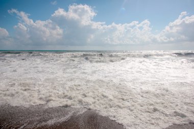 Deniz kenarında Gale