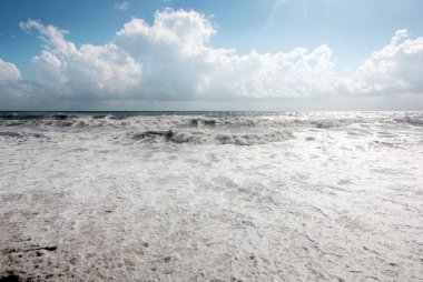 Deniz kenarında Gale