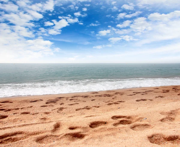 stock image Sandy beach