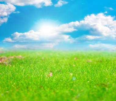 çayır ve gökyüzü