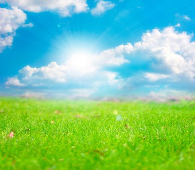 çayır ve gökyüzü